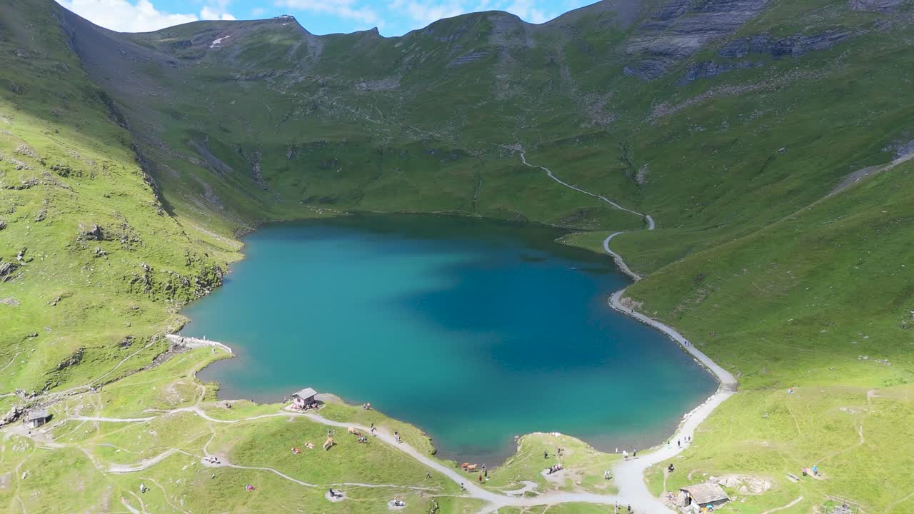 Stunning Aerial View of a Turquoise Alpine Lake Surrounded by Lush Green Mountains