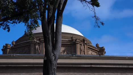 statues and carvings on the palace of fine arts dome behind a wind blown tree in san francisco