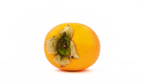 one persimmon kaki fruit with water drops. rotating on the turntable. isolated on the white background. close-up. macro.