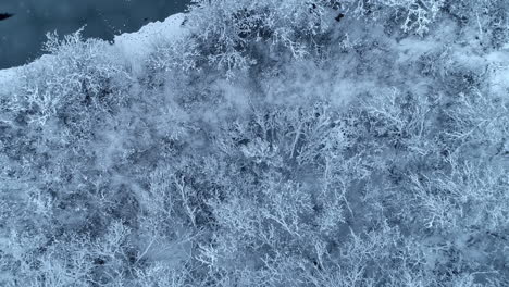 beautiful overhead drone shot of a snowy white forest with a frozen river