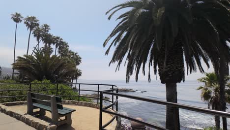 Beautiful-California-Coast-Beach-Park-Bench-with-Palm-Trees---4k-Graded