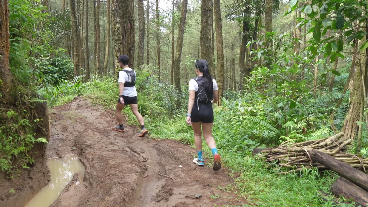 숲길 에 있는 산책자 들