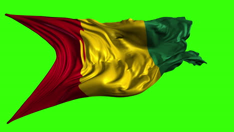 guinean flag on green screen