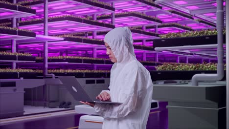 asian male scientist typing on a laptop in vertical farm