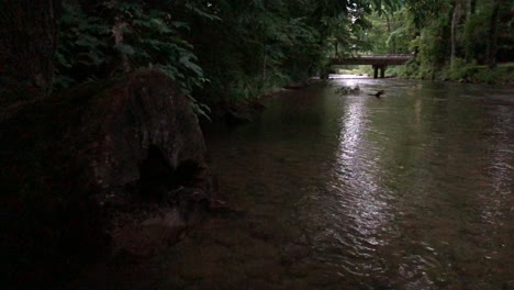 cae la noche en un siniestro río bordeado de árboles y rocas