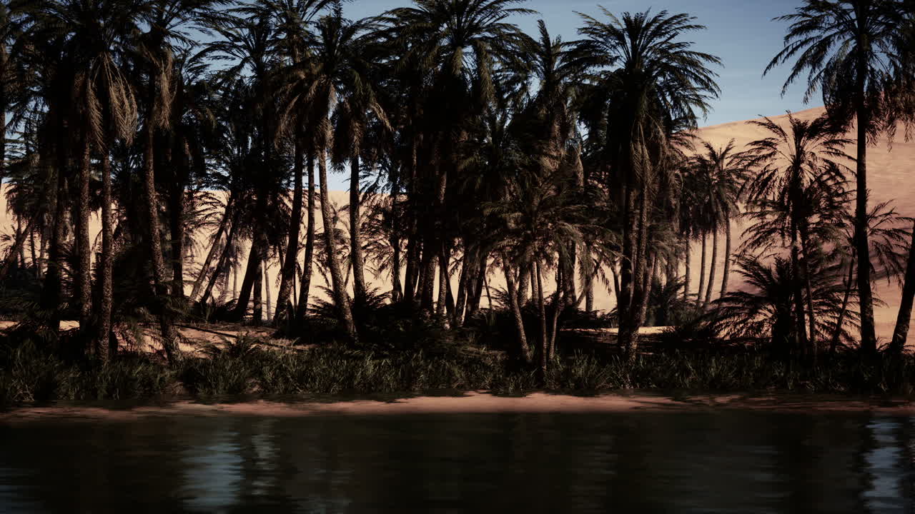 A picturesque oasis in the desert