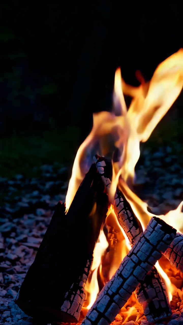 fogata en la noche
