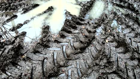 vehicle tracks in wet forest soil, soil compaction, forestry