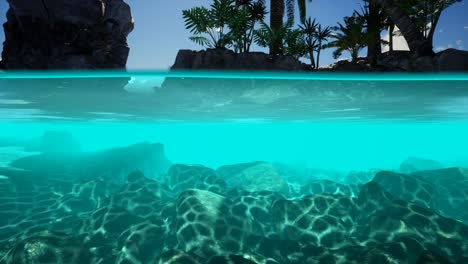 vista dividida de la sección transversal de agua de mar y palmeras en la isla