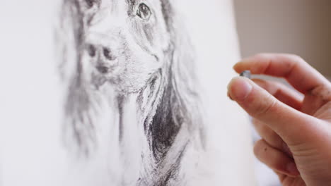 Close-Up-Of-Artist-Sitting-At-Easel-Drawing-Picture-Of-Dog-In-Charcoal