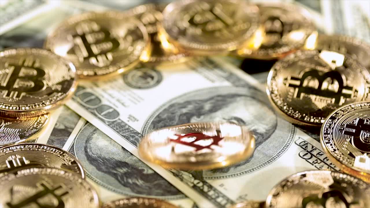 금 동전 비트 btc 동전과 달러 지폐.