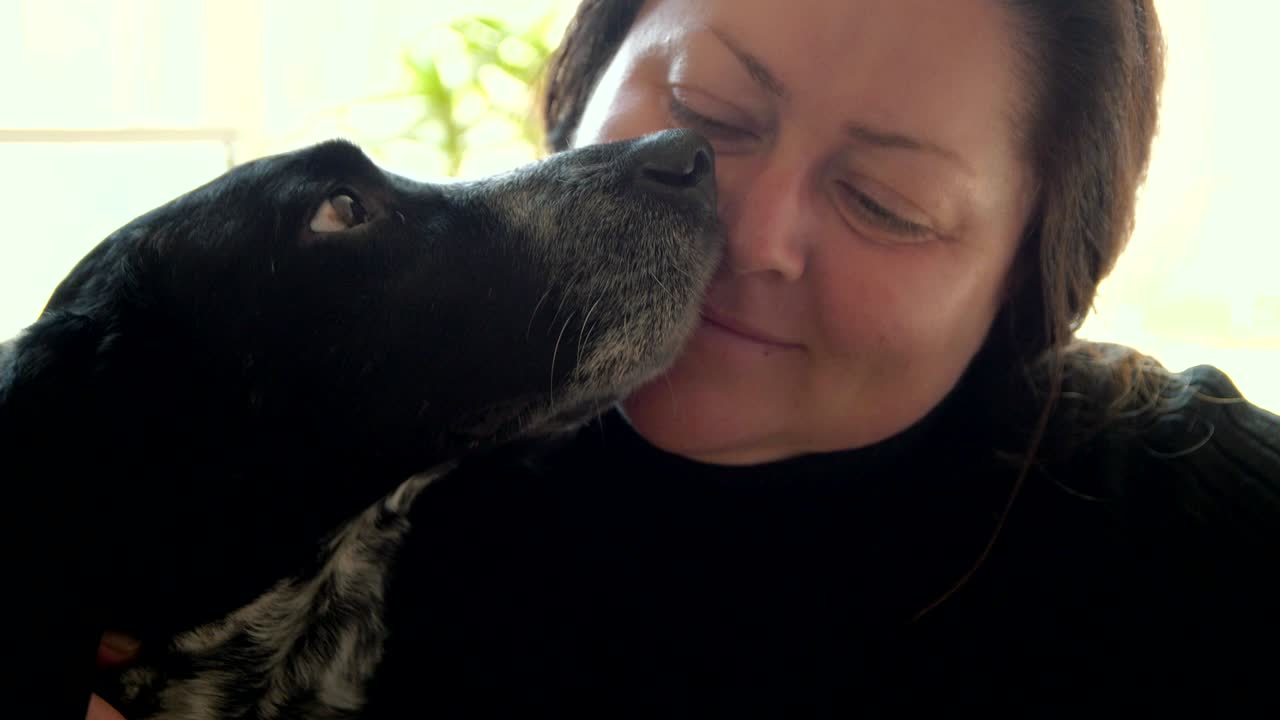 el perro toca la nariz de la amante