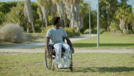 young man with paralegia enjoying nice summer day in park