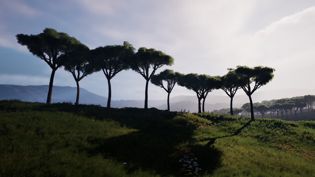 케냐 사바나 의 공중 촬영