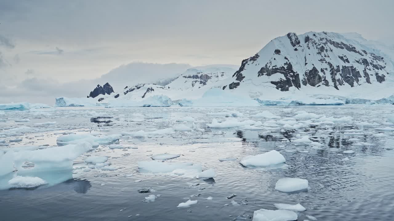 Sunset Mountains Ocean and Bird Flying in Antarctica Landscape, Sea Ice and Antarctica Peninsula Seabird in Flight in Winter Scenery Orange Sunrise Sky, Coastal Wildlife on Coast