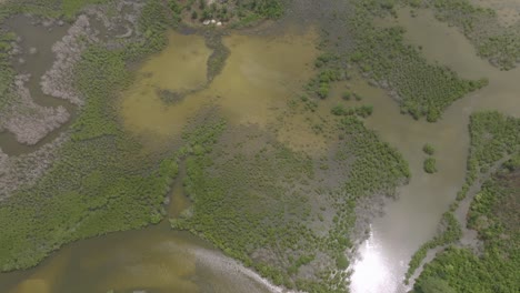 Slow-aerial-flyover-of-river-meandering-through-the-greenery-in-Sierra-Leone-Africa