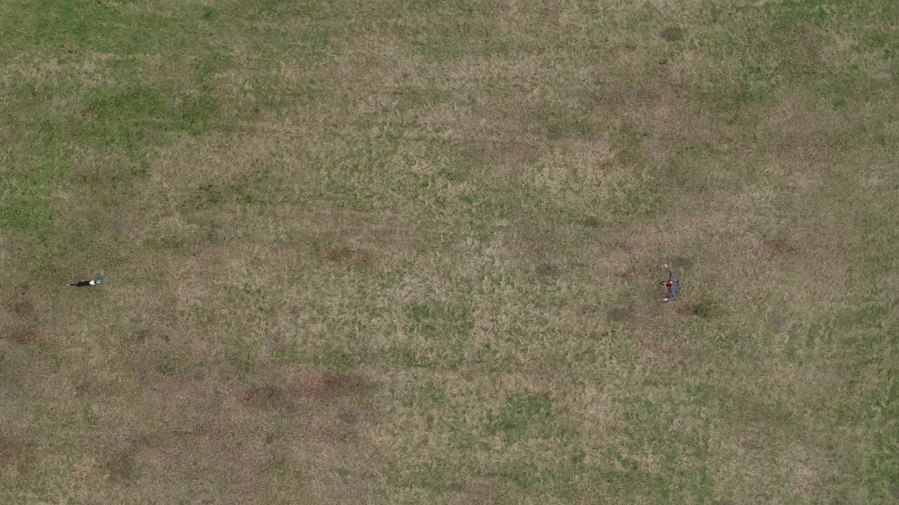 vista aérea de arriba hacia abajo del hombre con su entrenamiento de border collie con frisbee en el campo de hierba