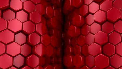 el fondo de los hexágonos