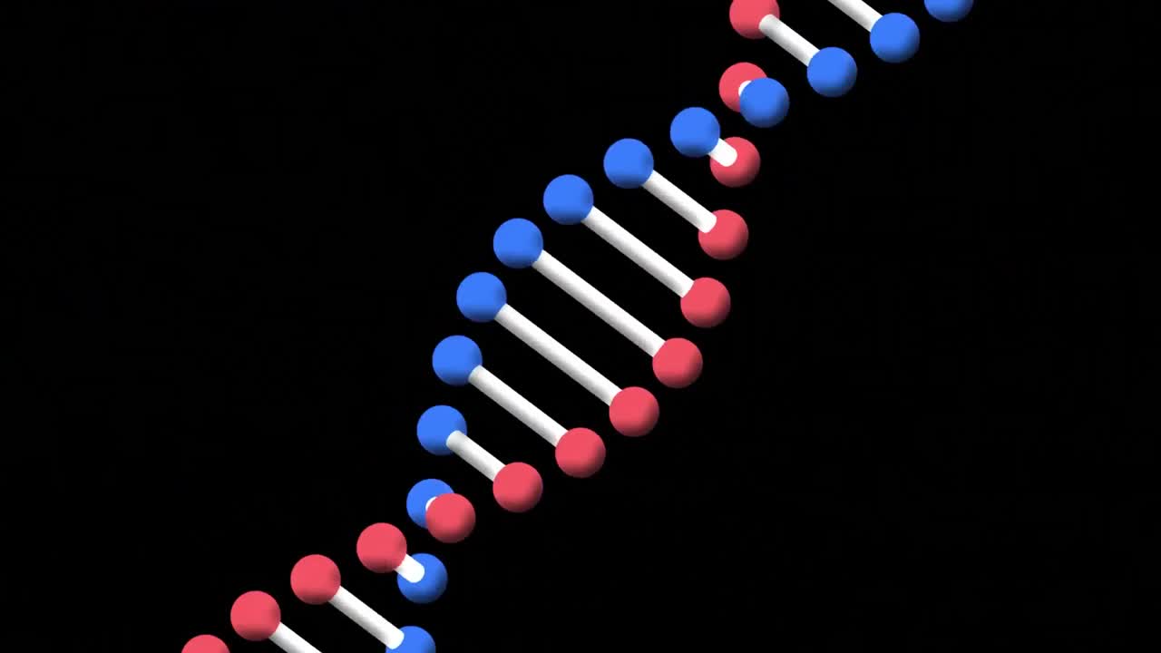 animación de una cadena de adn de modelo 3d giratorio, sobre un fondo negro