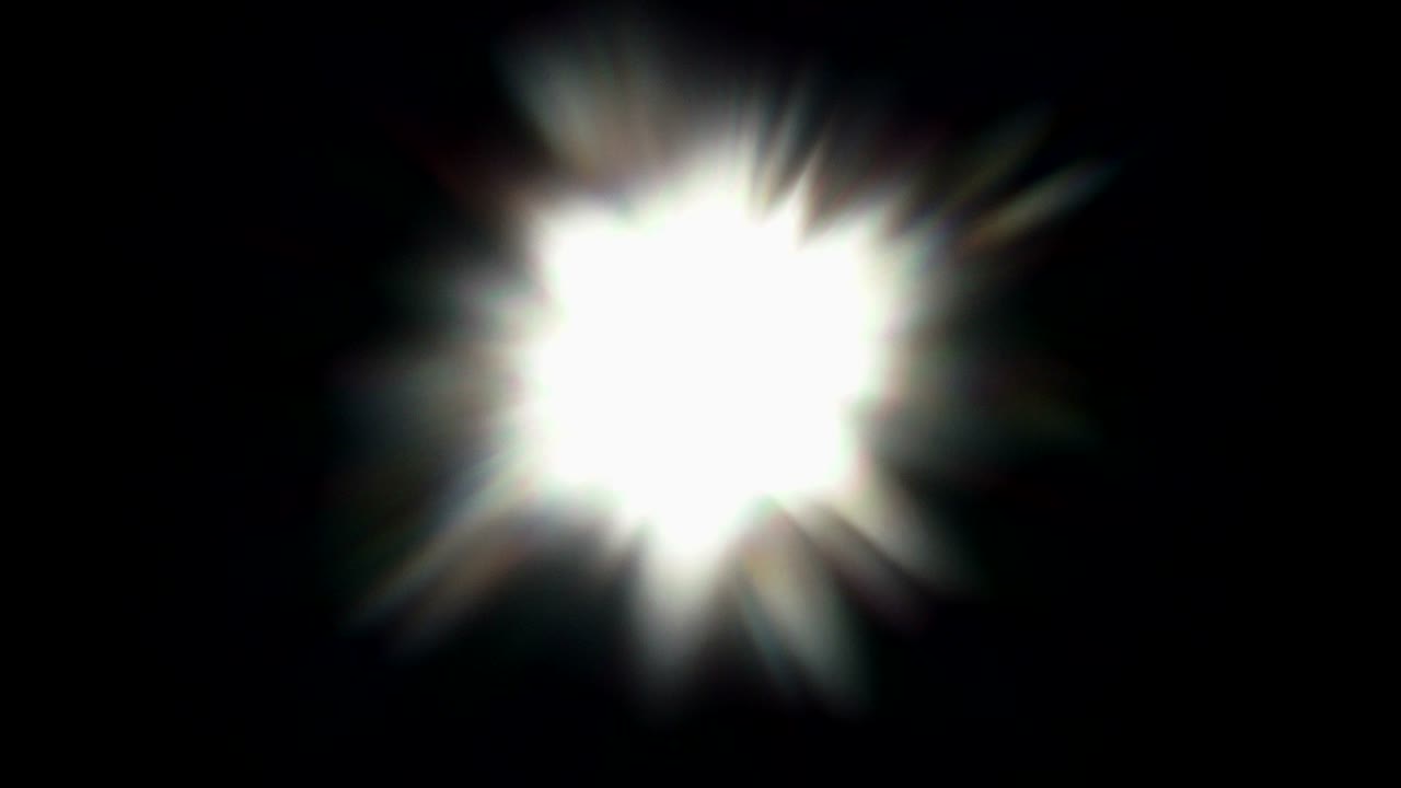 el pájaro vuela a través de la corona.