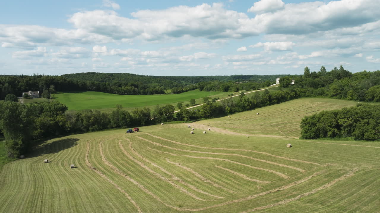Minnesota's serene farmlands in summer