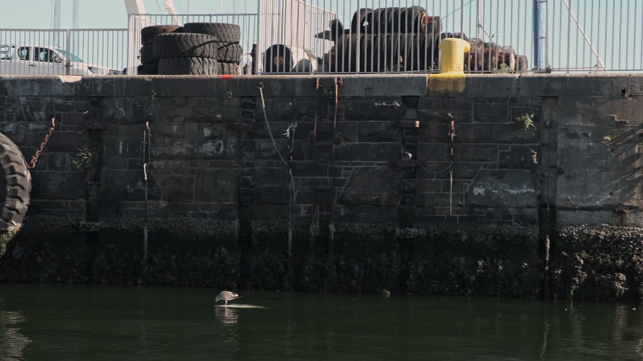 Row of tyre safety bumpers along scenic Cape town stone Concrete harbour wall revealing seaport