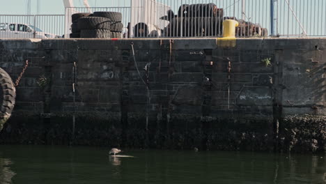 row of tyre safety bumpers along scenic cape town stone concrete harbour wall revealing seaport