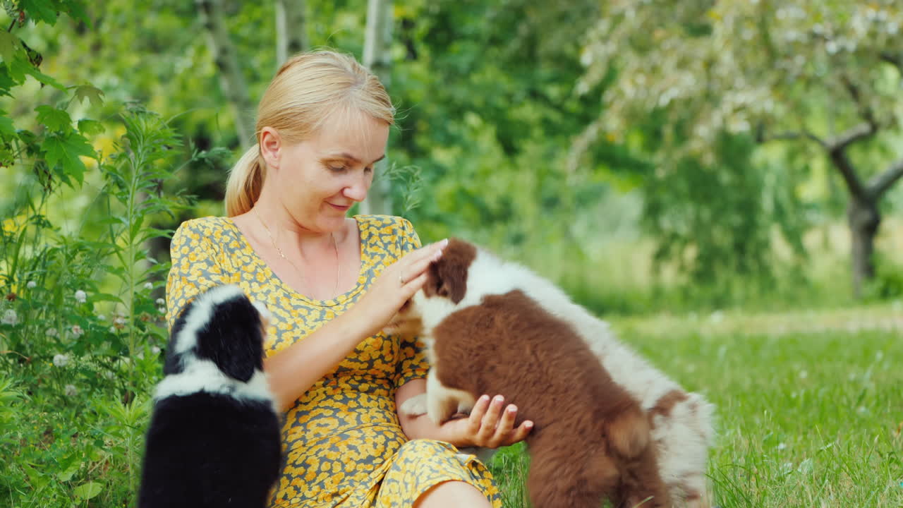 활동적인 젊은 여성이 뒷마당에서 여러 강아지와 함께 논다