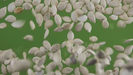 top view of falling down pumpkin grains. the seeds fall and fill the green screen. grain background