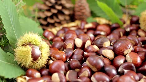 Chestnuts-and-autumnal-composition