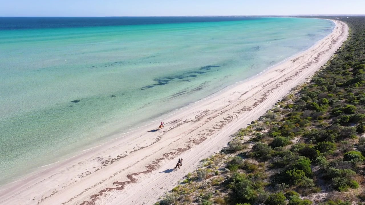 Cavalieri galoppano lungo Flaherty Beach sulla penisola di Yorke, Australia Meridionale - vista aerea.