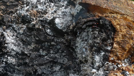 holzscheit, das langsam mit dem schein von glut und asche im wind brennt