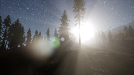 Milky-Way-stars-with-moonlight-above-pine-trees-forest