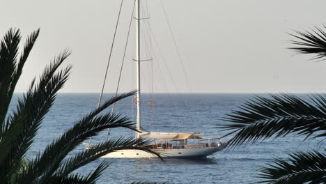 velero en el océano con hojas de palmera recortadas en primer plano