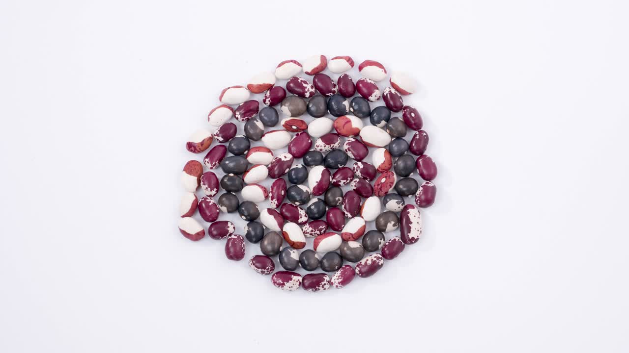 다채로운 콩, 원형