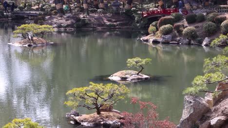 trabajadores manteniendo árboles bonsai en un jardín sereno