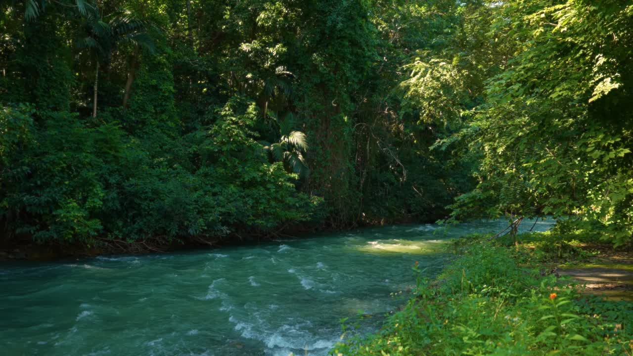 마르타 브레이 강 (martha brae river) 에서 래프팅 (rafting) 하고, 몬테고 베이 (montego bay) 에서 (jamaica) 나무 래프트 (wooden raft) 와 대나무 래프트 (bamboo raft) 를 타고 다닌다.