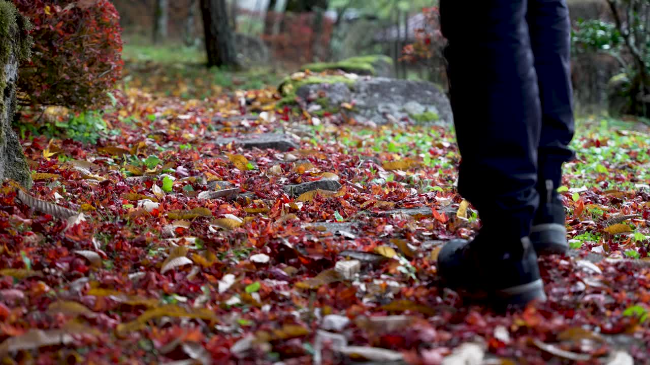 Person walking on a stone pathway covered in autumn leaves during fall season. low angle, slow motion