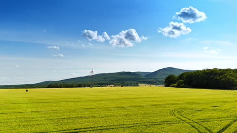Footage above the yellow field towards the verdant mountains at backdrop. Few fluffy mountains are in the blue sky over the scenery.