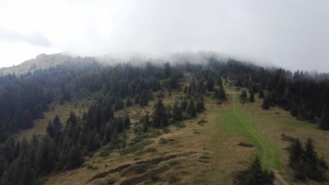 Colina-Arbolada-Ondulada-En-Una-Espesa-Niebla