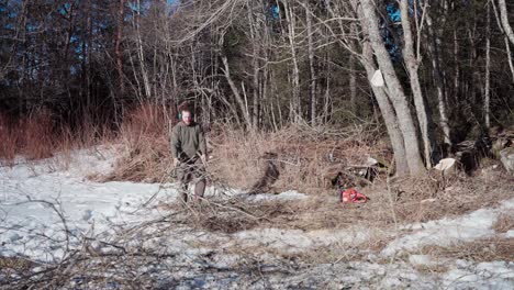 The-Man-is-Dragging-the-Stack-of-Kindling-to-the-Edge-of-the-Forest-in-Indre-Fosen,-Trondelag-County,-Norway---Static-Shot