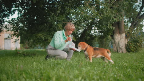 woman bending to feed pet dog in lush green garden under afternoon sun warm light happy outdoor moment showing care love bond between human and animal peaceful scene