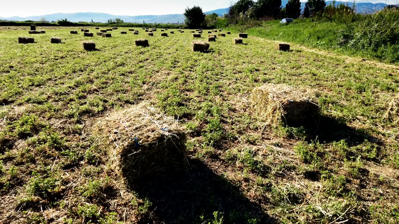 배경 구름 하늘에 수확 후  어리 들판