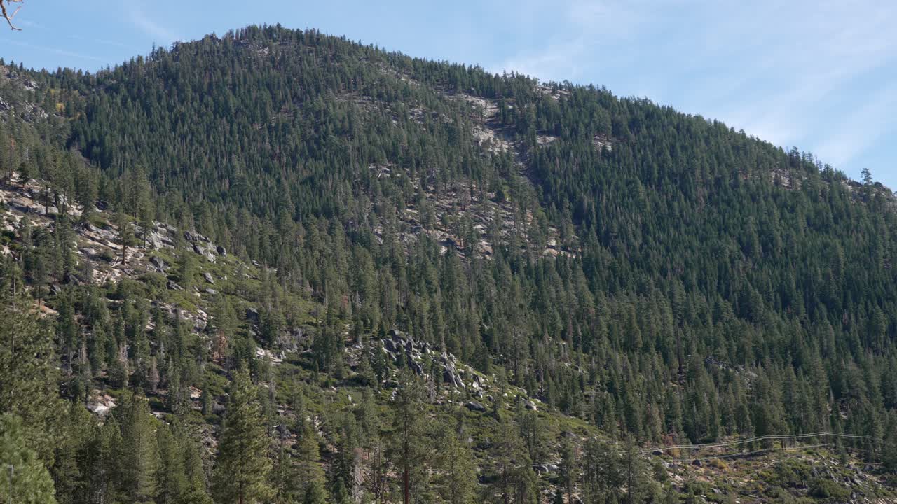 Peaceful alpine landscape featuring evergreen trees and rugged granite terrain