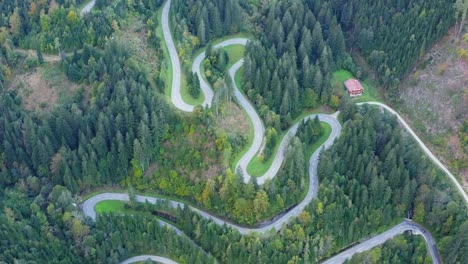 houses along meandering road