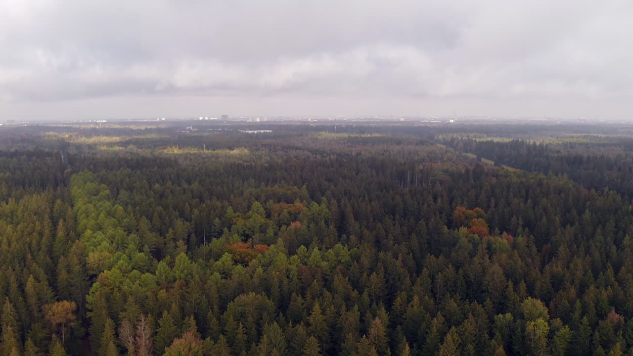흐린 지평선 배경에 바이에른 메트로폴 뮌헨이 있는 가을 숲의 나무 꼭대기에 햇빛과 그림자