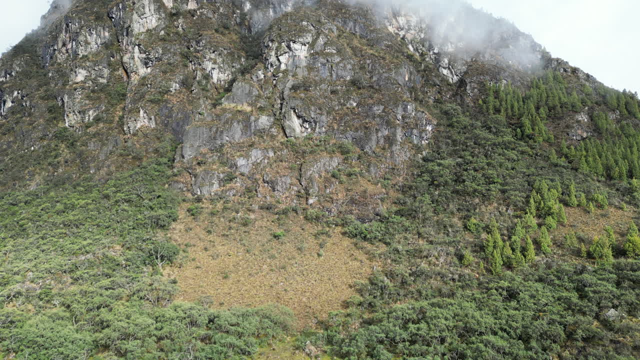 Drone ascending towards a misty mountain in El Cajas, Ecuador. The footage captures rugged stone cliffs, dense tree cover, and light clouds surrounding the peak.