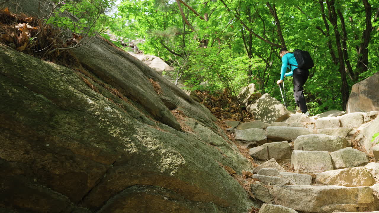 hombre caminando en el terreno forestal montañoso