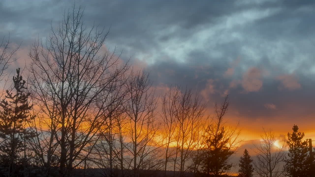 Fiery evening sky glowing through a forest of silhouetted trees.