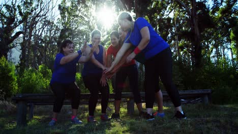 Gruppe-Von-Freunden,-Die-Im-Bootcamp-Einen-Handstapel-Bilden